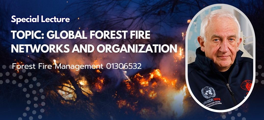 “Global Forest Fire Networks and Organization”